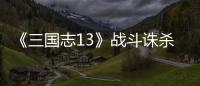 《三国志13》战斗诛杀攻略
