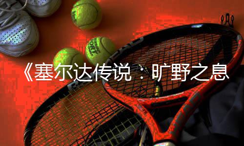 旷快速尔达传说野之息星方法塞刷流